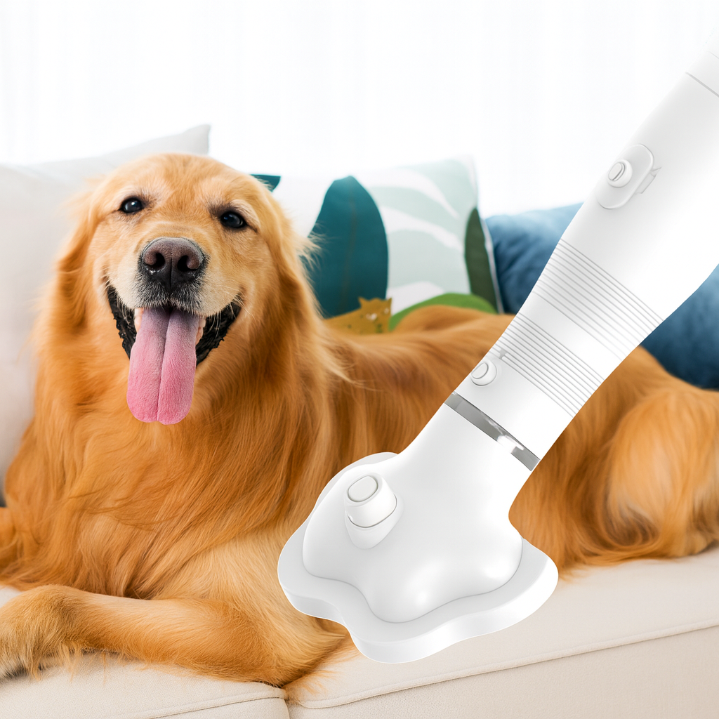2-in-1 Pet Hair Dryer & Fur Remover